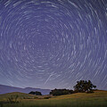 Borealis Star Trails Over Ojai by Lindsay Thomson