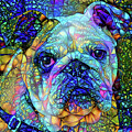Boris the English Bulldog by Peggy Collins