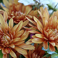 Bouquet Mums Photograph by Mary Anne Delgado Bouquet Mums Photograph by Mary Anne Delgado
