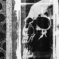 Boxed Skull Grunge by Roseanne Jones