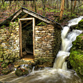 Boxley Valley Arkansas Springhouse Waterfall by Lee and Renee Walsh