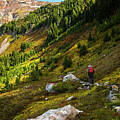Breathtaking View by Doug Scrima
