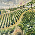 Brendas View at Lorenzi Estate Winery in Temecula Painting by Roxy Rich Brendas View at Lorenzi Estate Winery in Temecula Painting by Roxy Rich