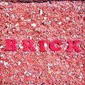 Brick by Onedayoneimage Photography