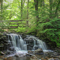 Bridge Over the Fall Painting Photograph by Robert Carter Bridge Over the Fall Painting Photograph by Robert Carter