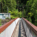 Bridge to Ladder Creek by Tom Cochran