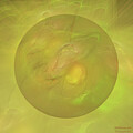 Brilliant Sunshine by Diane Parnell