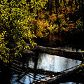 Broad Run Autumn No. 1 Photograph by Steve Ember Broad Run Autumn No. 1 Photograph by Steve Ember