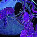 Broken Vase by Ian MacDonald Broken Vase by Ian MacDonald