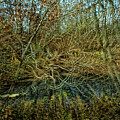 Brown and gold abstract by Cate Franklyn