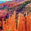 Bryce Canyon Hoodoos by Terry Dorvinen