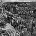 Bryce Canyon National Park BW I Photograph by Chuck Kuhn Bryce Canyon National Park BW I Photograph by Chuck Kuhn
