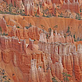 Bryce Canyon National Park - Hoodoos Closeup Photograph by Yvonne Jasinski Bryce Canyon National Park - Hoodoos Closeup Photograph by Yvonne Jasinski