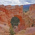 Bryce Canyon National Park - Window Photograph by Yvonne Jasinski Bryce Canyon National Park - Window Photograph by Yvonne Jasinski