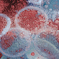 Bubbles in Abstract Digital Art by WAZgriffin Digital Bubbles in Abstract Digital Art by WAZgriffin Digital