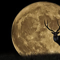 Buck Moon Digital Art by Brad Barton Buck Moon Digital Art by Brad Barton