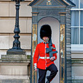 Buckingham Palace Guard Digital Art by SnapHappy Photos Buckingham Palace Guard Digital Art by SnapHappy Photos