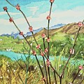 Buckwheat over Malibou Lake Painting by Luisa Millicent Buckwheat over Malibou Lake Painting by Luisa Millicent