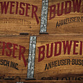 Budweiser By The Case by Rene Vasquez