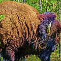 Buffalo Illustrated Digital Art by David Desautel Buffalo Illustrated Digital Art by David Desautel