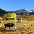 Buffalo Soup by Otto Rapp Buffalo Soup by Otto Rapp