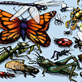 Bugs Painting by Kevin Middleton Bugs Painting by Kevin Middleton