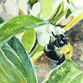 Bumblebee  by Kellie Chasse