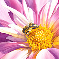 Busy Bee Painting by Espero Art Busy Bee Painting by Espero Art