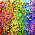 Butterflies Faeries Rainbow Digital Art by Kevin Middleton Butterflies Faeries Rainbow Digital Art by Kevin Middleton