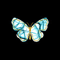 Butterfly Blue Gold Symmetry by Fitri Apriliyani
