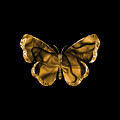 Butterfly Gold Intricate by Fitri Apriliyani