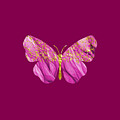 Butterfly Pink Gold Speckles by Fitri Apriliyani