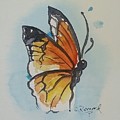 Butterfly Painting by Sheila Romard Butterfly Painting by Sheila Romard