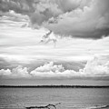 By The Bay Photograph by Steve Stanger By The Bay Photograph by Steve Stanger