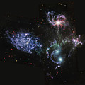C056/2351 Photograph by Science Photo Library C056/2351 Photograph by Science Photo Library
