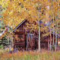 Cabin in the Forest Photograph by Bob Falcone Cabin in the Forest Photograph by Bob Falcone