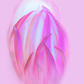 Cactus 8 by Kathy Paynter