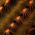Cactus 9521 Photograph by Julie Powell Cactus 9521 Photograph by Julie Powell