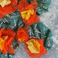 Cactus Flowers by Charla Van Vlack Cactus Flowers by Charla Van Vlack
