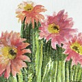 Cactus Flowers by Cheryl Wallace