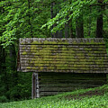 Cades Cove Woodshed by Marcy Wielfaert