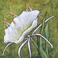 Cahaba Lily on Green by Candy Mayer