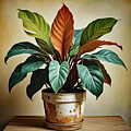 Calathea In Pot 2 by Tracey Lee Cassin