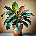 Calathea In Pot 4 by Tracey Lee Cassin