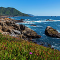 California Coast Photograph by Rich Cruse California Coast Photograph by Rich Cruse