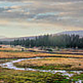 California Mountains Tioga Meadow Stream panorama Photograph by Dan Carmichael California Mountains Tioga Meadow Stream panorama Photograph by Dan Carmichael