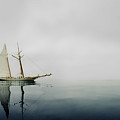 Calm by Gary Felton