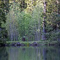 Calm nature Photograph by Robert Grac