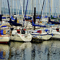 Calm Waters Photograph by Susie Loechler Calm Waters Photograph by Susie Loechler