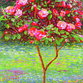 Camellia Passion Painting by Jane Small Camellia Passion Painting by Jane Small